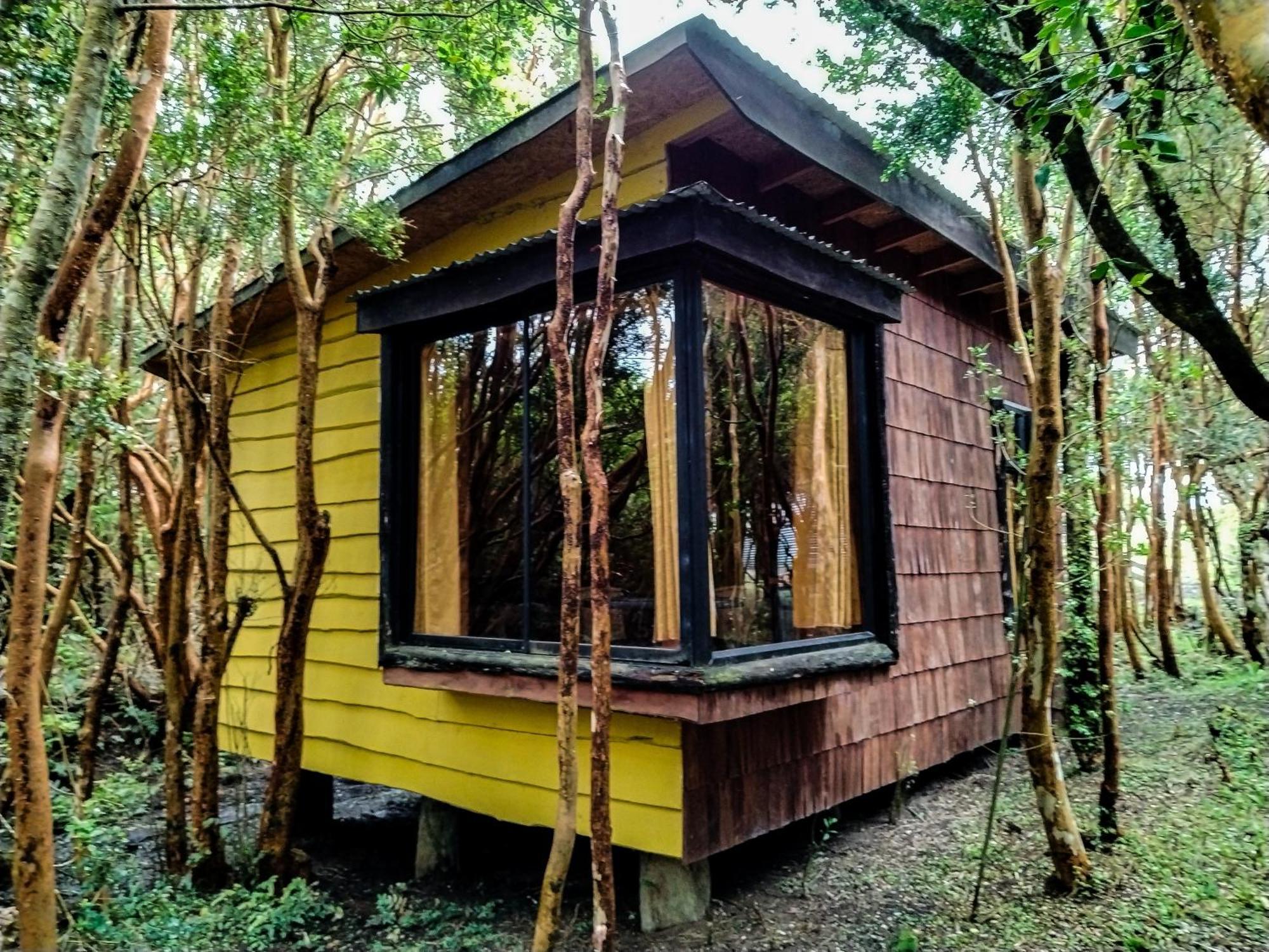 Hostal & Cabanas Luna Del Sur Cucao Eksteriør billede