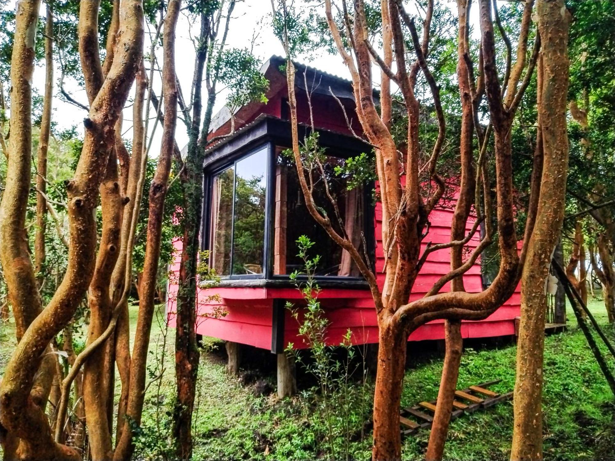Hostal & Cabanas Luna Del Sur Cucao Eksteriør billede